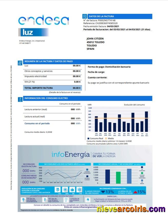 Spain Endesa luz utility bill